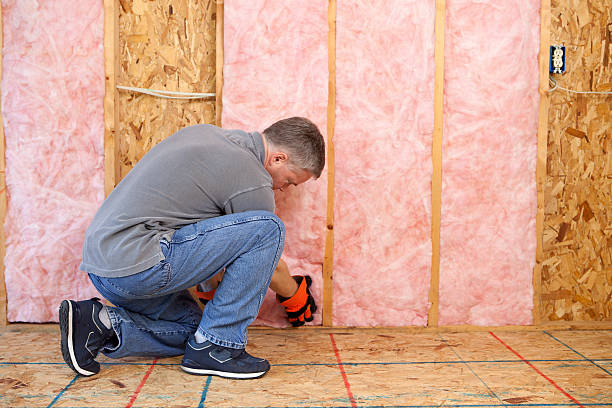 Best Geographic-Specific Insulation Services in Cowan, TN